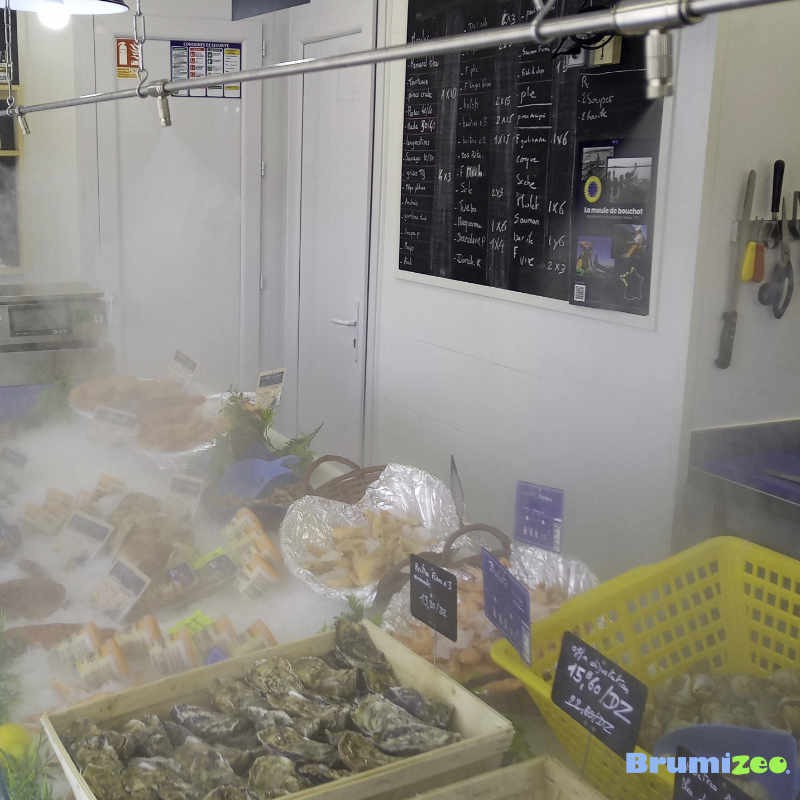 Brumibox 5 buses pour poissonnerie