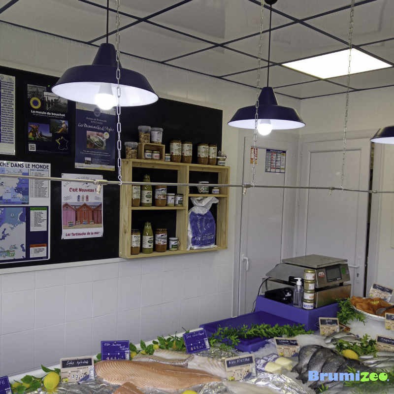 Brumibox 5 buses pour poissonnerie