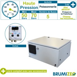 Brumibox 5 buses pour poissonnerie