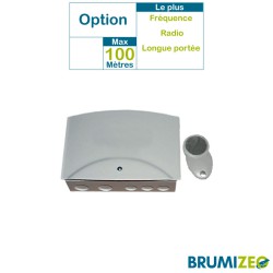 Télécommande pour brumisateur