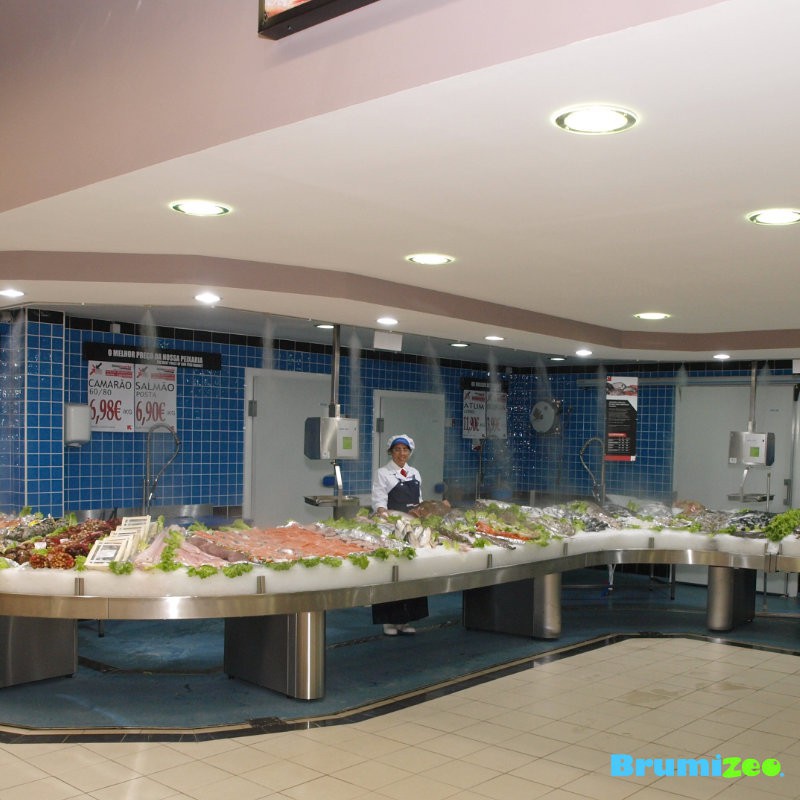 Brumibox 10 buses pour poissonnerie