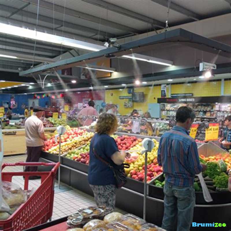 Brumibox 10 buses pour fruits et légumes
