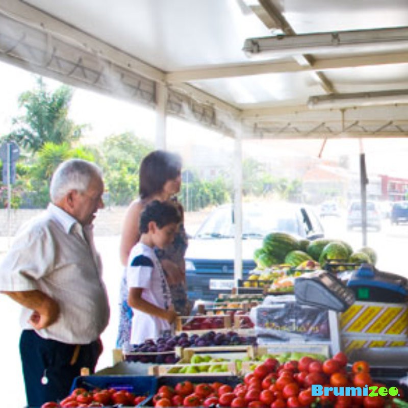 Brumibox 10 buses pour fruits et légumes