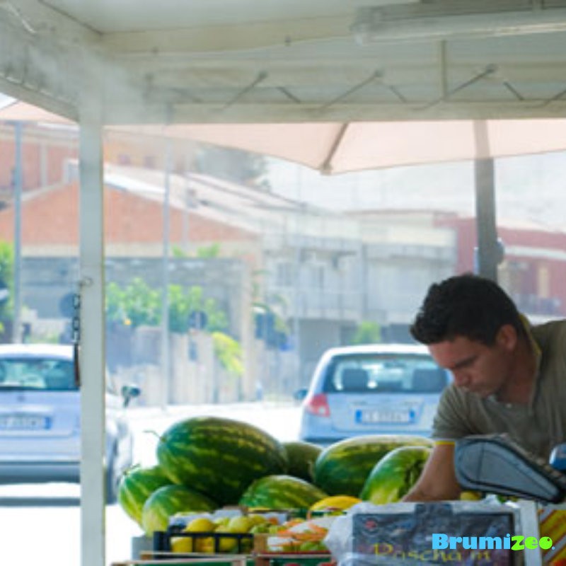 Brumibox 10 buses pour fruits et légumes