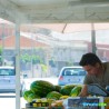 Brumibox 10 buses pour fruits et légumes