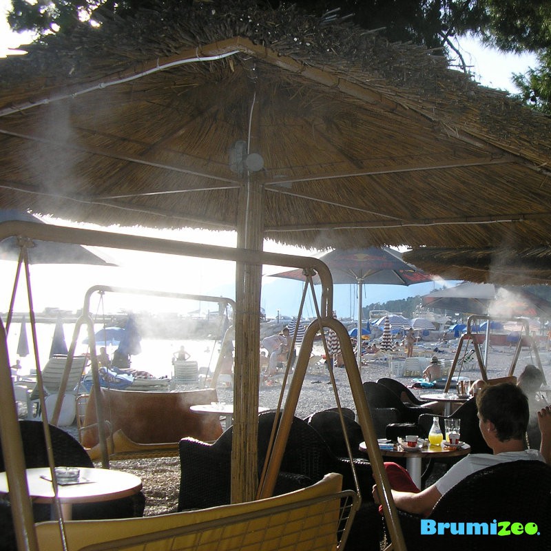 Brumibox 10 buses pour bars et restaurants