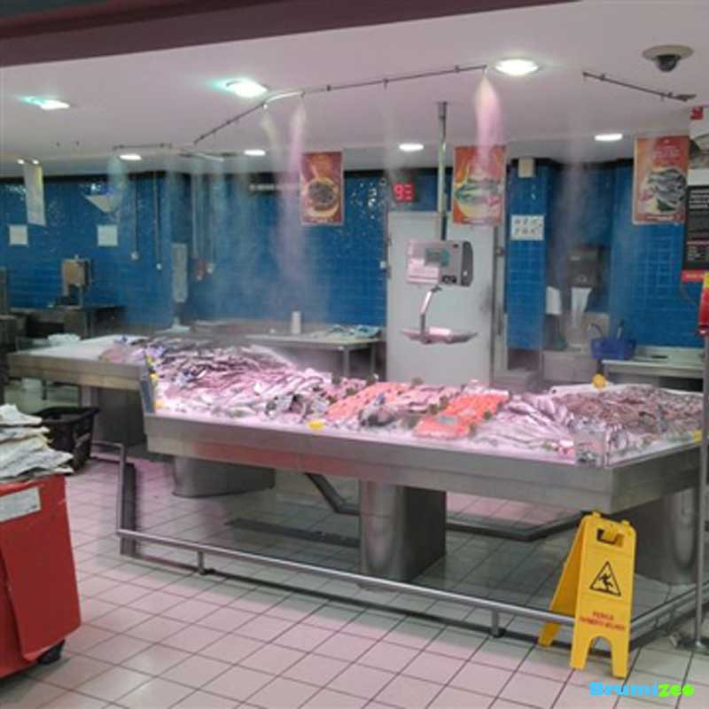 Brumibox 5 buses pour poissonnerie